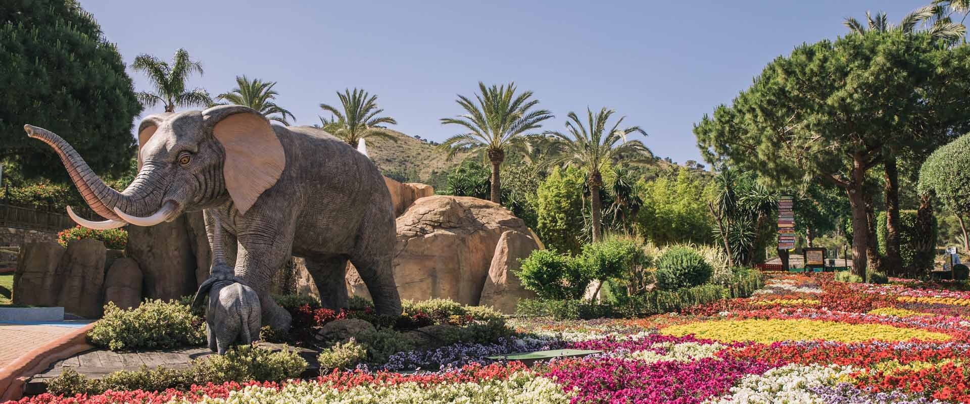  Image de couverture par 