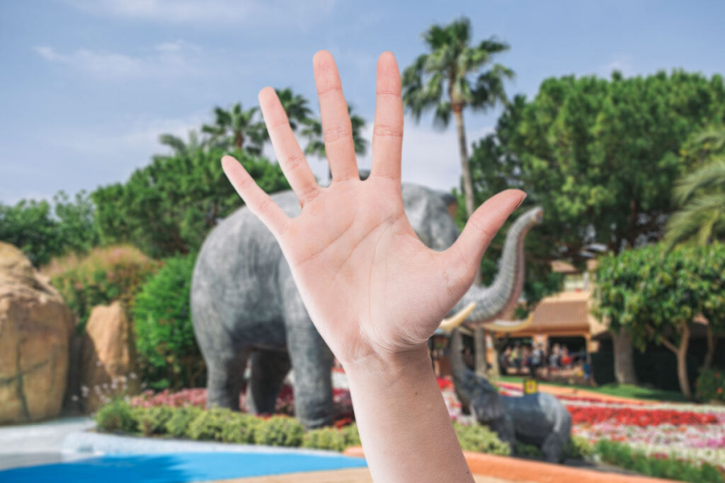 5 curiosidades Aqualandia